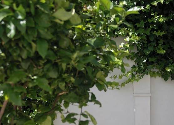Hotel Infanta Leonor 1
