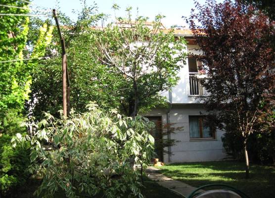 Hostel Oasis 1