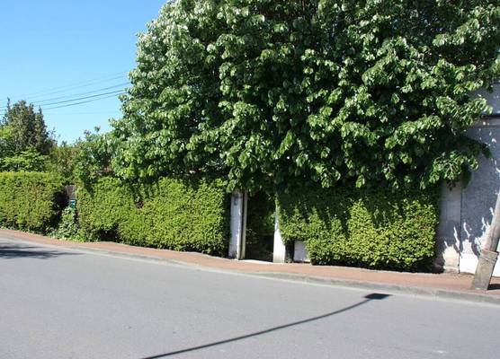 Jardins en Ville 1