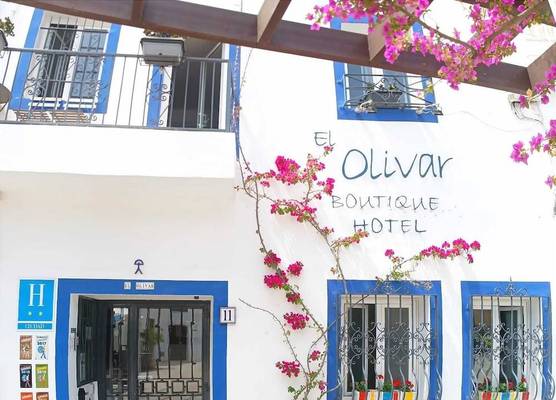 Boutique Hotel El Olivar 1