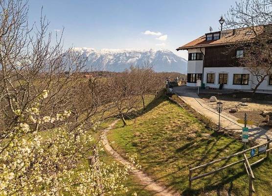 Neubichler Alm 1