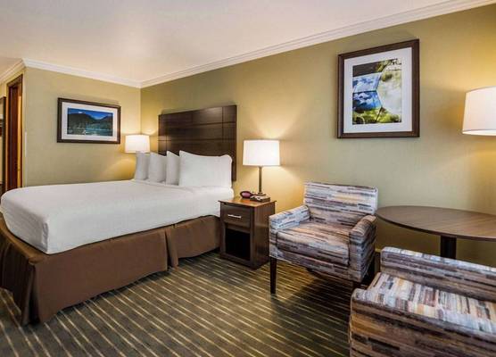 Best Western Holiday Hotel 1