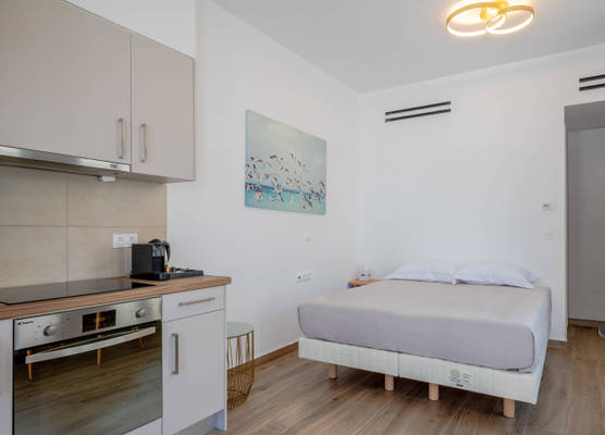Apeiron Perissa Apartments 1
