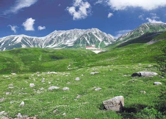 TATEYAMA 1