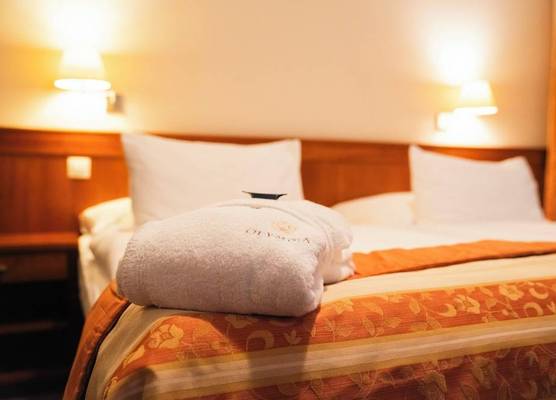Spa & Wellness Hotel Olympia Marienbad 1