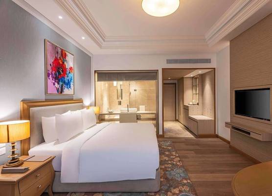 Park Plaza Jalandhar 1