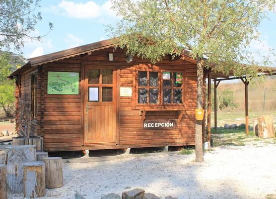 Camping La Fundicion 1