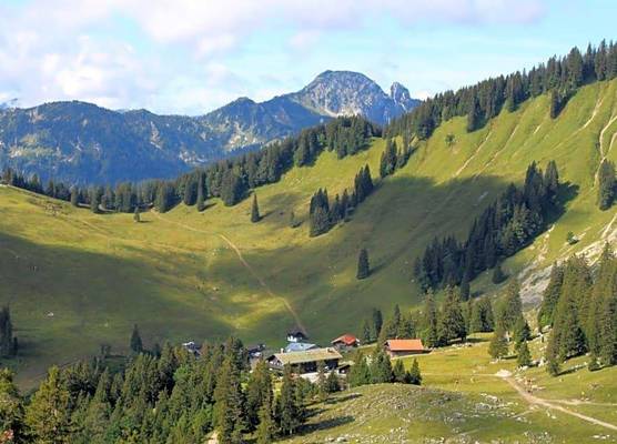 Berggasthof Obere Firstalm 1