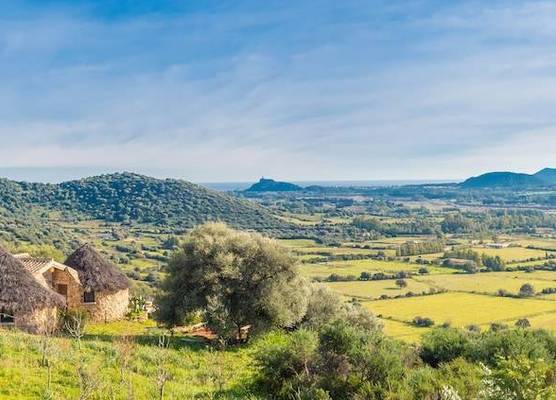 Essenza Sardegna 1
