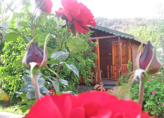 Ugur Pansiyon Bungalows 1