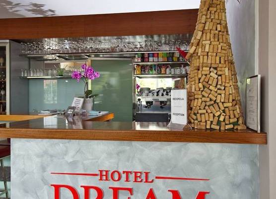 Dream Hotel 1