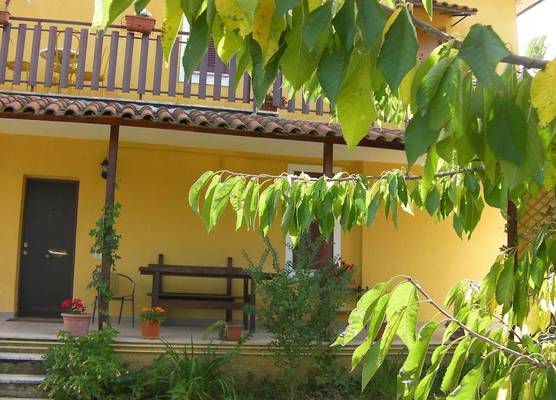 Life B&B 1