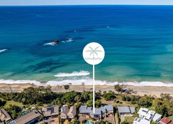 Shell Cove by Charlesworth 1
