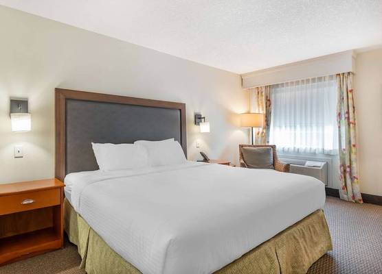 Best Western Plus University Park Inn & Suites 1
