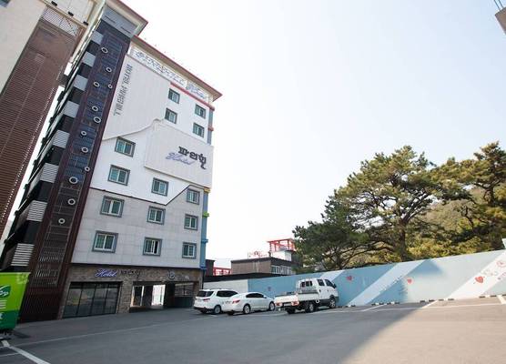 Pine Hill 1