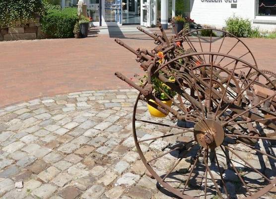 Emsland Hotel Saller See 1