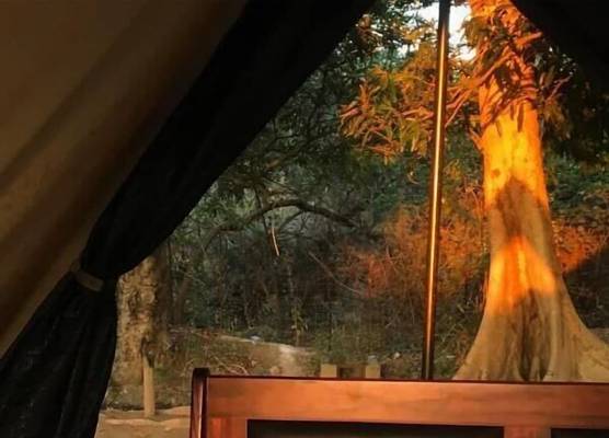 Senate Boutique Camp - Campsite 1