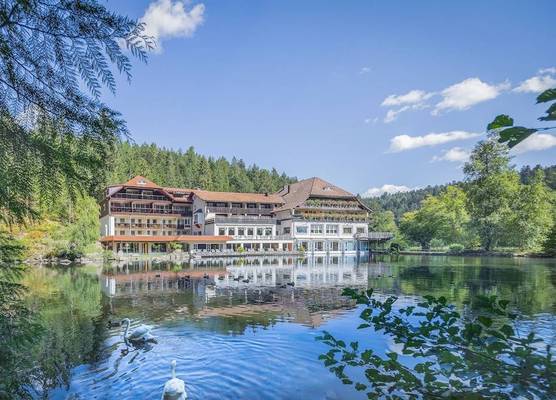 Hotel Langenwaldsee 1