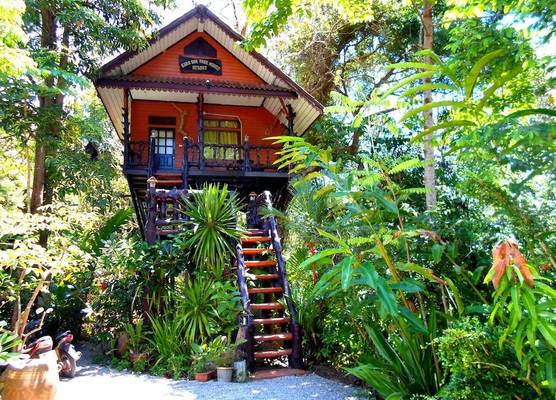 Khao Sok Tree House Resort 1