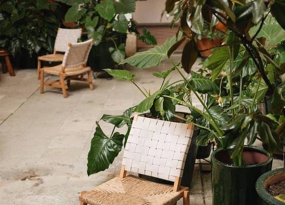 Los Pilares Hotel 1