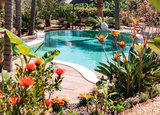 Cannes Villa St Barth 1