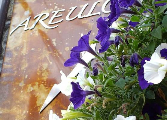 Hotel Areulo 1