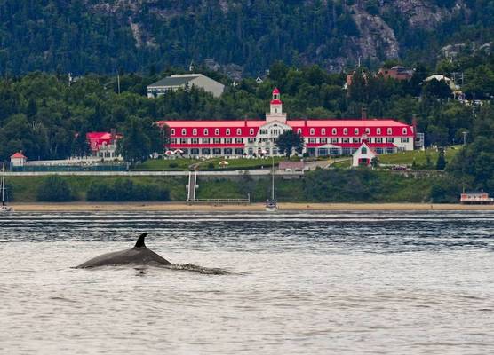 Hotel Tadoussac 1