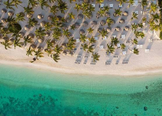 Catalonia Bavaro Beach Resort 1