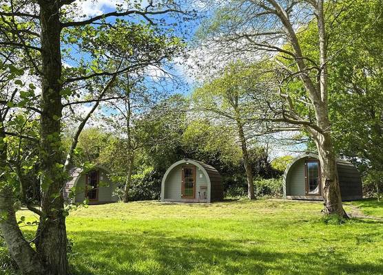 Chestnut Meadow Camping 1