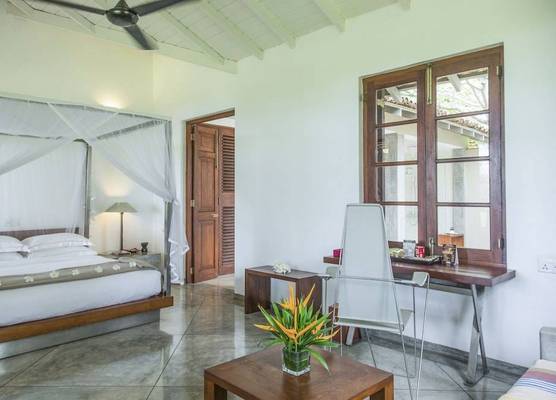 The Frangipani Tree by Edwards Collection - Thalpe 1