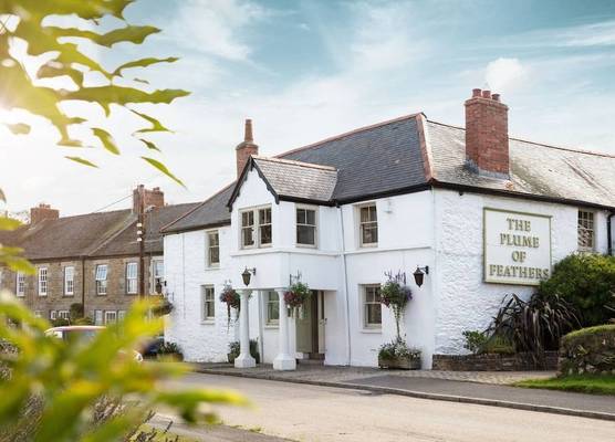 The Plume of Feathers 1