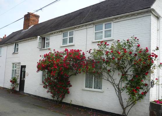 White Cottage Bed and Breakfast 1