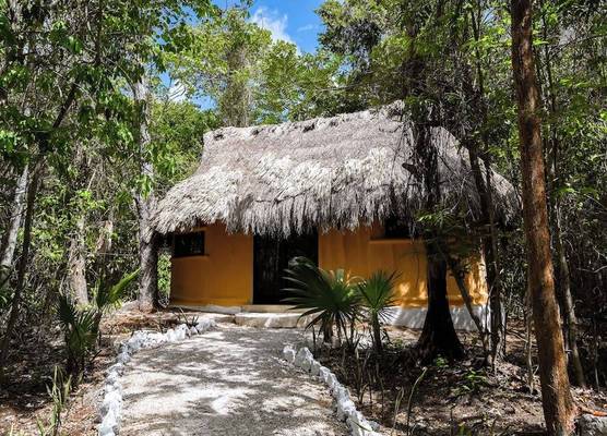 Jolie Jungle Eco Hotel 1