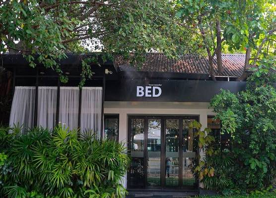 BED Phrasingh-Adults Only 1