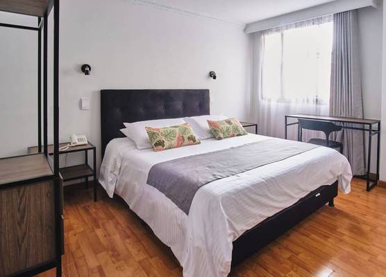 Hotel Virrey Central 1