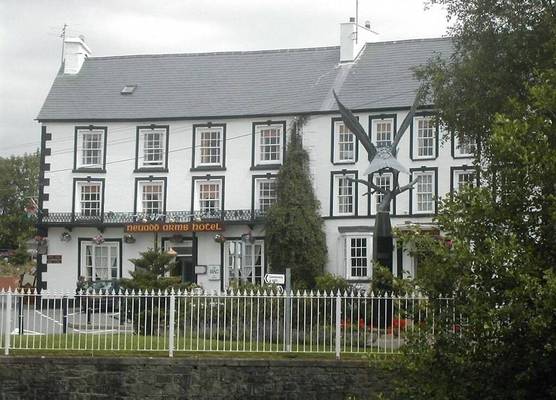 Neuadd Arms Hotel 1