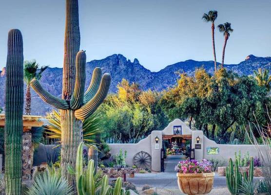 Hacienda del Sol Guest Ranch Resort 1