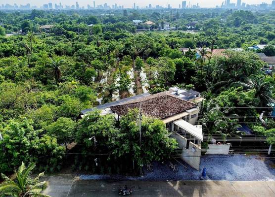 Coconut Lane Bangkok 1