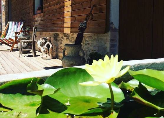 Lotus House 1