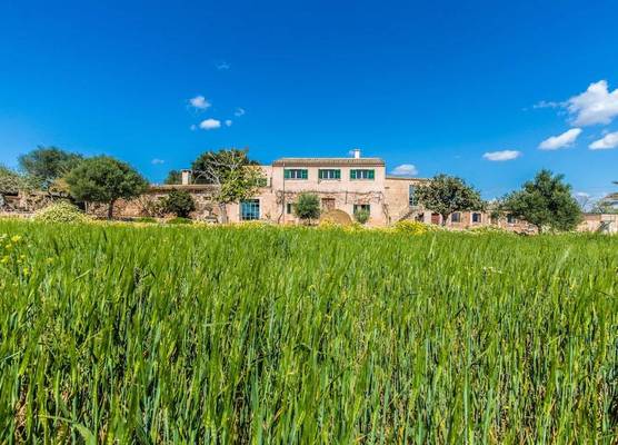 Finca Agroturismo Sa Cova den Borino 1