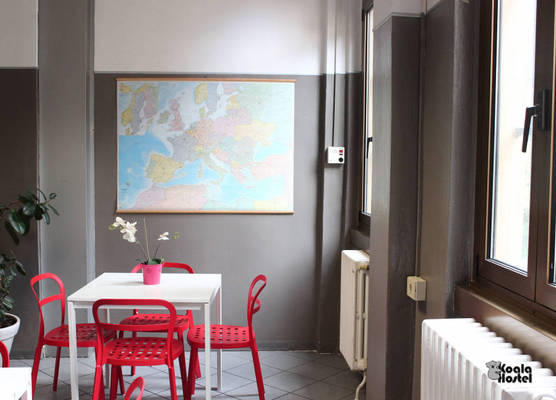Koala Hostel 1