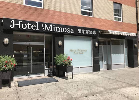 Hotel Mimosa 1