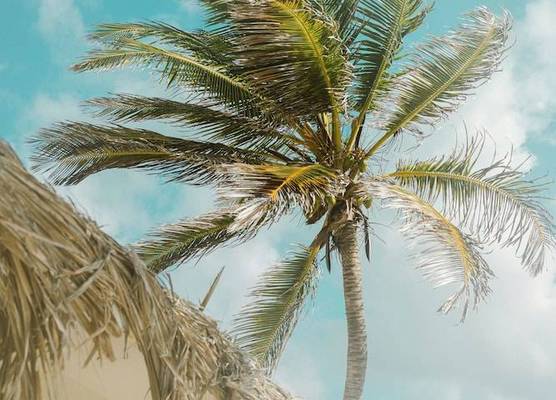 Sorobon Luxury Beach Resort 1