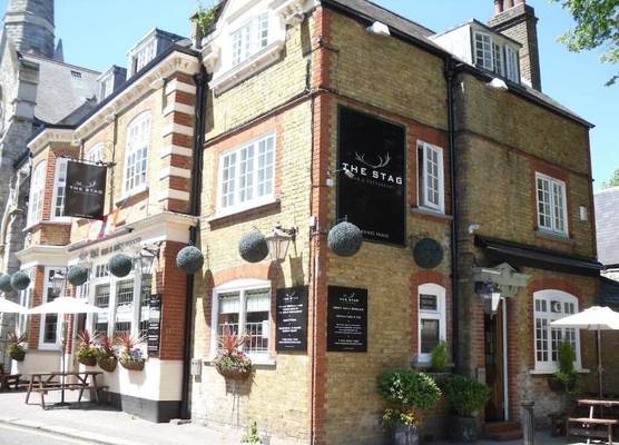 The Stag Enfield 1