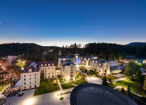 Grand Hotel Sava Superior 1