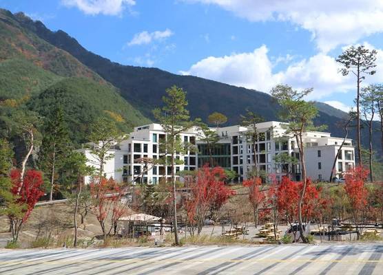 Pine Forest Jeongseon Alpine Resort 1