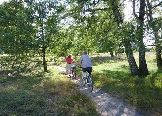 Akzent Hotel Zur Wasserburg - Hotel Garni bed & breakfast 1
