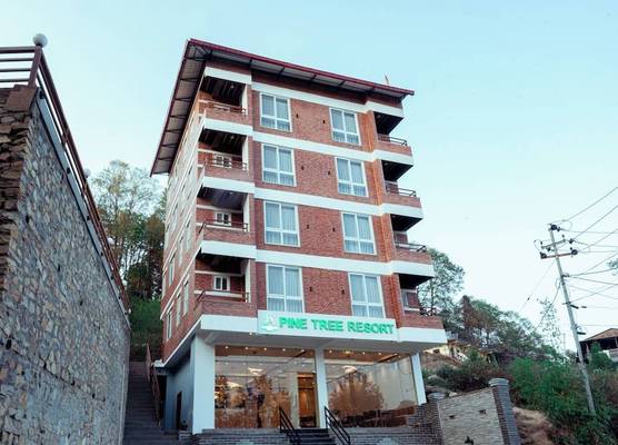 Pine Tree Resort 1