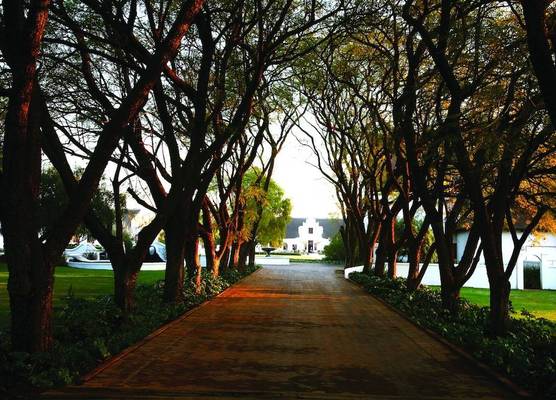 Kievits Kroon Gauteng Wine Estate 1