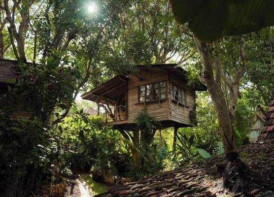 Roots Tree House - Boutique Hotel - Uluwatu 1